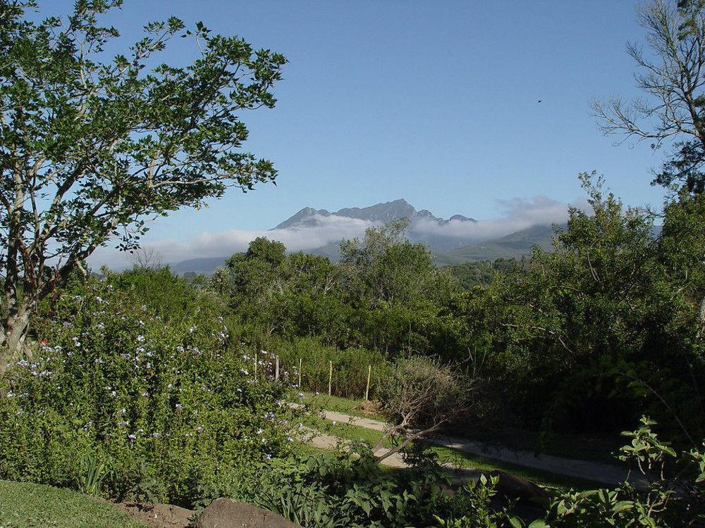 Villa Wilderness Metanoia Extérieur photo
